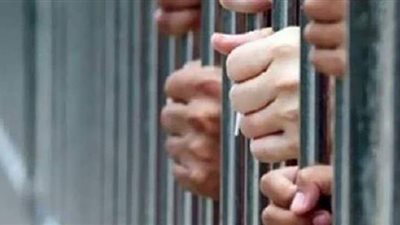 السجن ١٥ سنة لخلية إرهابية استهدفت قوات تأمين محولات الكهرباء بالفيوم