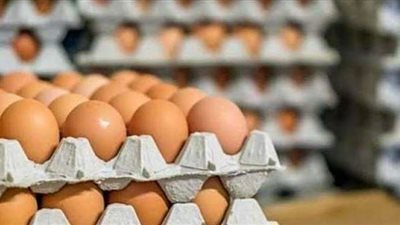 أخبار الاقتصاد اليوم: خطة الإسكان لإنهاء طلبات التصالح في مخالفات البناء.. أسعار الذهب اليوم بنهاية التعاملات.. وأسباب ارتفاع أسعار البيض في الأسواق