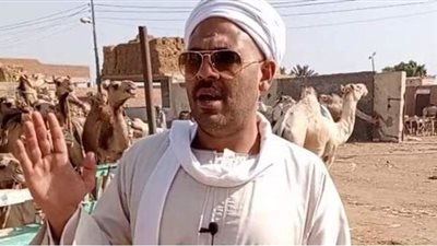 الإبل في مزاد 