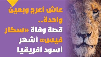 عاش أعرج وبعين واحدة.. قصة وفاة «سكارفيس» أشهر أسود أفريقيا | فيديوجراف