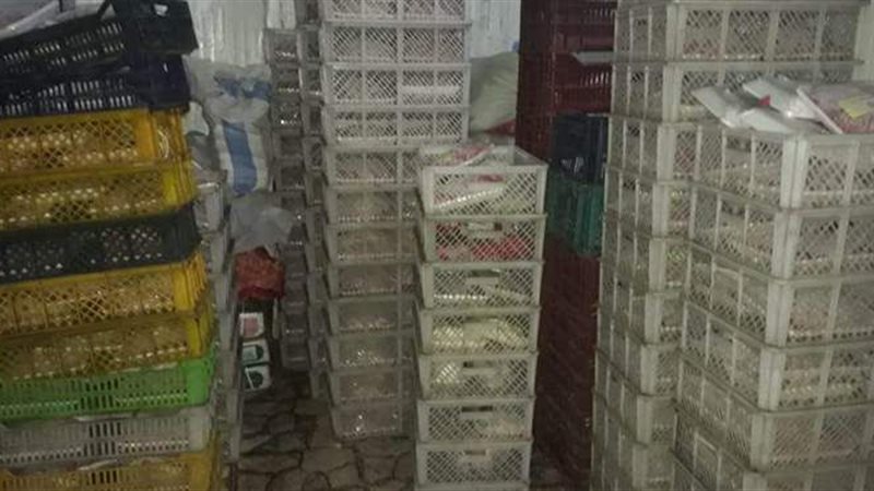 إعدام 10 أطنان أسماك