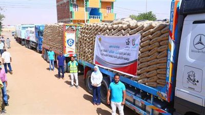 بدء أعمال إعادة إعمار قريتي جورمشين والجزائر بالوادي الجديد