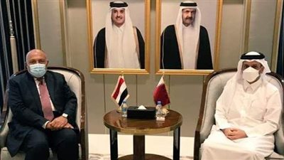 مباحثات بين سامح شكري ونظيره القطري قبل الاجتماع العربي بشأن سد النهضة | صور