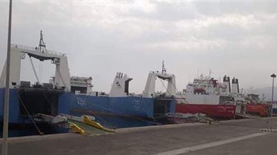 أخبار المحافظات اليوم: تفاصيل جديدة عن متحرش القطار الروسي.. حقيقة تدهور صحة الدب في الإسكندرية.. إغلاق ميناء الغردقة البحري