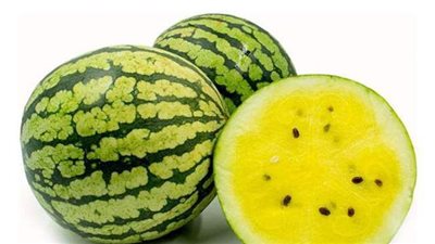 رغم فوائده الصحية.. شعبة الخضروات تكشف سر عدم التوسع في زراعة البطيخ الأصفر