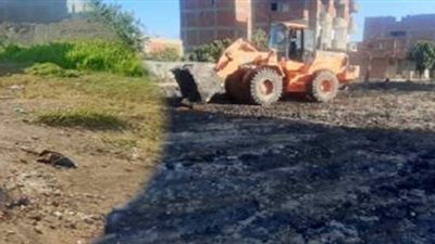 صرف الغربية: تطهير مصرف 