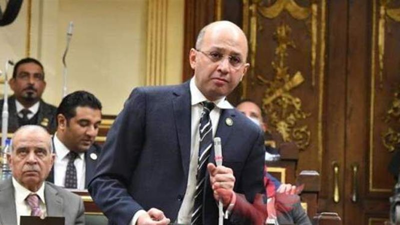 النائب هشام حسين،