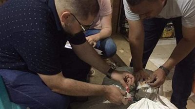 إعدام 611 كيلو أغذية و46 لتر مشروبات فاسدة في حملة مكبرة بجنوب سيناء