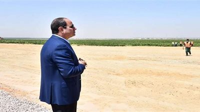 23 معلومة ترصد تطورات الدلتا الجديدة.. أضخم مشروع استصلاح في المنطقة