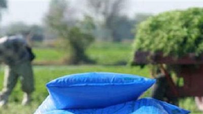 الزراعة: حل أزمة الأسمدة في 3 محافظات.. والمعروض في الجمعيات الزراعية يفي بالاحتياجات