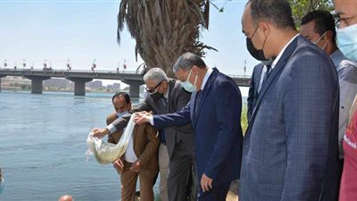 محافظ المنيا يشهد إلقاء مليون زريعة سمك بالنيل