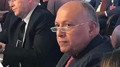 شكري عن أزمة سد النهضة: صبرنا تعرض لاختبارات عدة.. وندرك تبعات تصعيد التوتر بالمنطقة