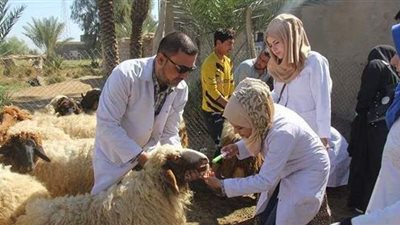 تعرف علي خطة الطب البيطري لاستقبال عيد الأضحي المبارك بالجيزة