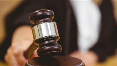 السجن 5 سنوات لـ 10 متهمين وبراءة 14 آخرين في قضية سيدة الكرم بالمنيا