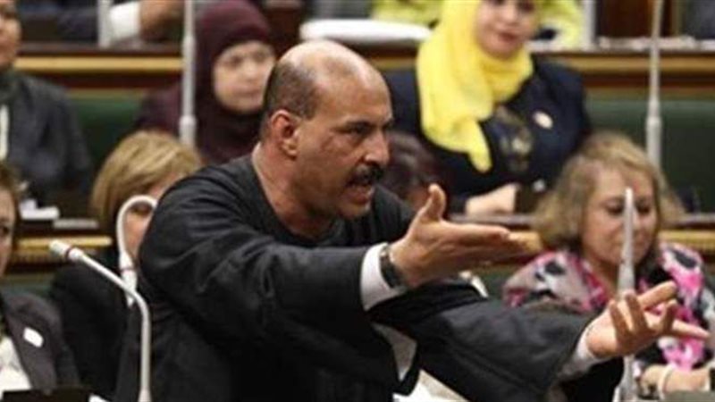 فتحي قنديل، عضو مجلس