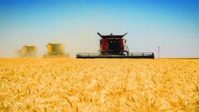 «الزراعة» تكشف عدد الأفدنة المنزرعة سنويا.. وتحدد مصير كارت الفلاح