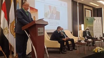 خالد عبد العال: العاصمة الجديدة تعيد للقاهرة رونقها التاريخي