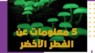 5 معلومات عن الفطر الأخضر | فيديو جراف