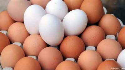 سعر كرتونة البيض اليوم للمستهلك.. ارتفاع كبير يصل لـ16 جنيها