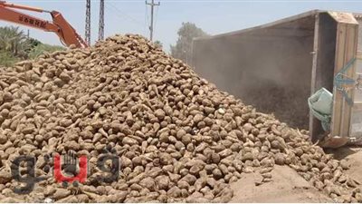 انقلاب سيارة محملة بالبنجر بطريق وادي الملاك في الإسماعيلية | صور