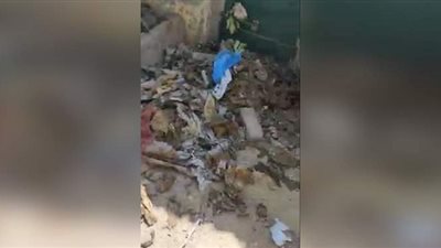 استخرج 30 جثة متحللة.. القبض على نابش القبور بالمنوفية | فيديو