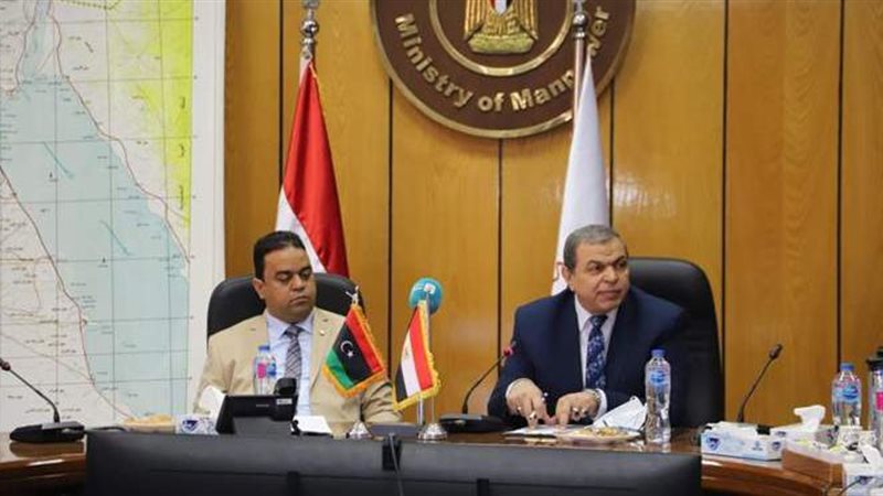 وزير القوي العاملة