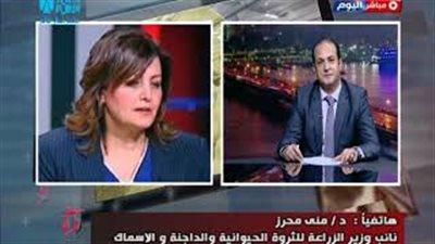 «الزراعة» تكشف حقيقة حقن الدواجن بالهرمونات (فيديو)