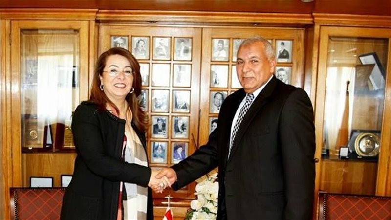 فيتو