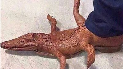 بالصور.. أقبح تصميمات الأحذية