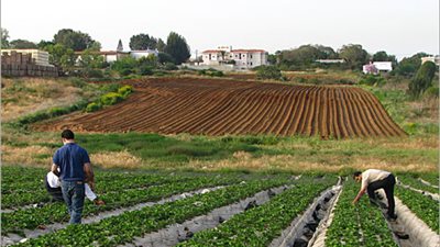 خبير اقتصادي: المشروعات القومية لن تسحب السيولة من السوق