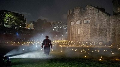 يوم الهدنة.. سر رقم 11 في وقف شلال الدم العالمي