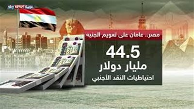 5 تغيرات على الاقتصاد المصري بعد عامين من تعويم الجنيه (فيديو جراف)