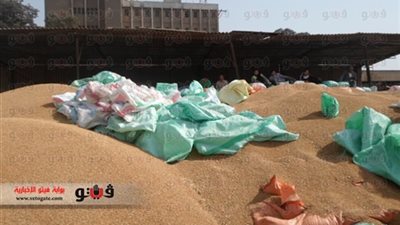 توريد 250 ألف طن من القمح لـ