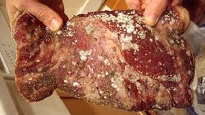 ضبط 50 كيلو لحوم متعفنة بمحل في تعاونيات الزهور ببورسعيد