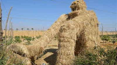 بالصور.. رئيس جهاز البيئة يفتتح مهرجان قش الأرز