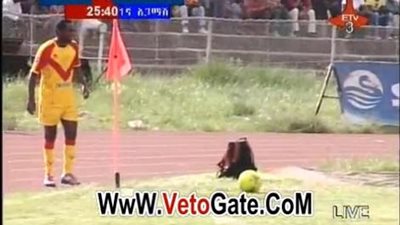 بالفيديو.. سان جورج يحرز الهدف الثانى فى مرمى إنبى