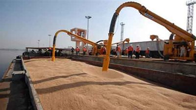 الحكومة تشتري 235 ألف طن قمح من فرنسا وأوكرانيا