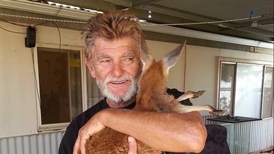 «تايسون في نفسه».. كنغر يمارس الملاكمة في فناء منزل (فيديو وصور)