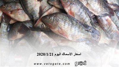 اسعار الأسماك اليوم 2020/1/21