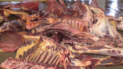 ضبط لحوم غير صالحة للاستهلاك الآدمي في الدقهلية