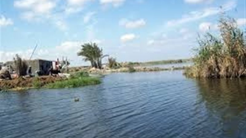 بحيرة المنزلة