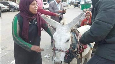 مصادرة سيارة