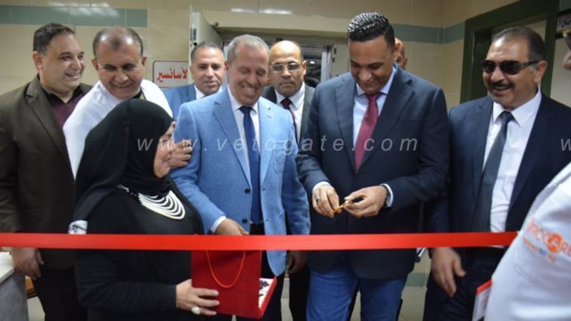 محافظ الدقهلية ووكيل
