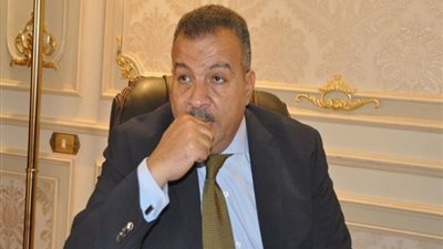 العماري: ملف الدواء أهم أولويات لجنة الصحة بالبرلمان