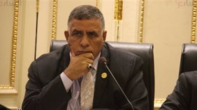 وهب الله: نحتاج تغيير مجالس إدارات 80% من شركات القطاع العام