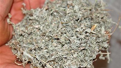 بالصوت..باحث يكتشف مادة طبيعية تقتل الخلايا السرطانية خلال 16 ساعة