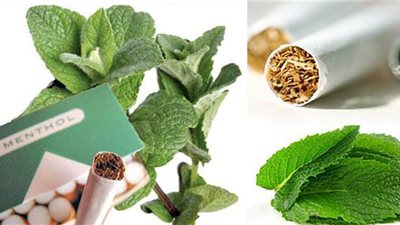 دراسة: مدخنو 