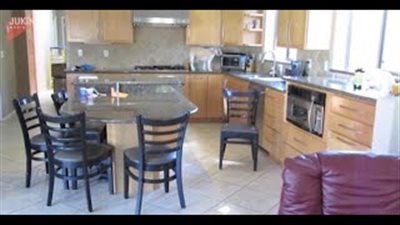 مشهد طريف لكلب يسرق الدجاج من الفرن (فيديو)