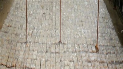 إحباط  تهريب نصف طن حشيش مخبأة داخل شحنة تفاح بميناء شرق التفريعة