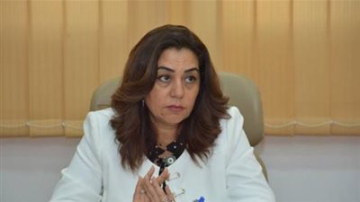 محافظ دمياط عن إهانة بائعة الخضراوات: «إحنا بين نارين»